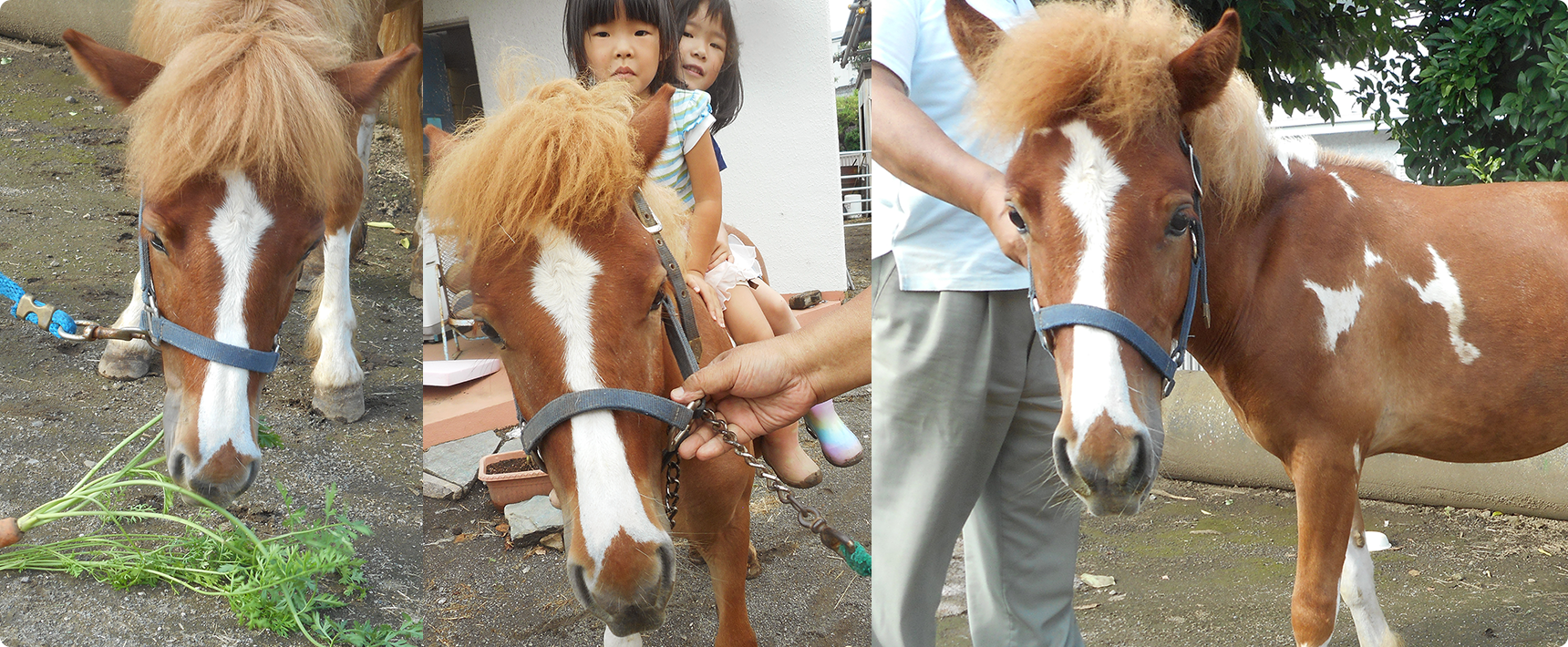 大庭城山幼稚園