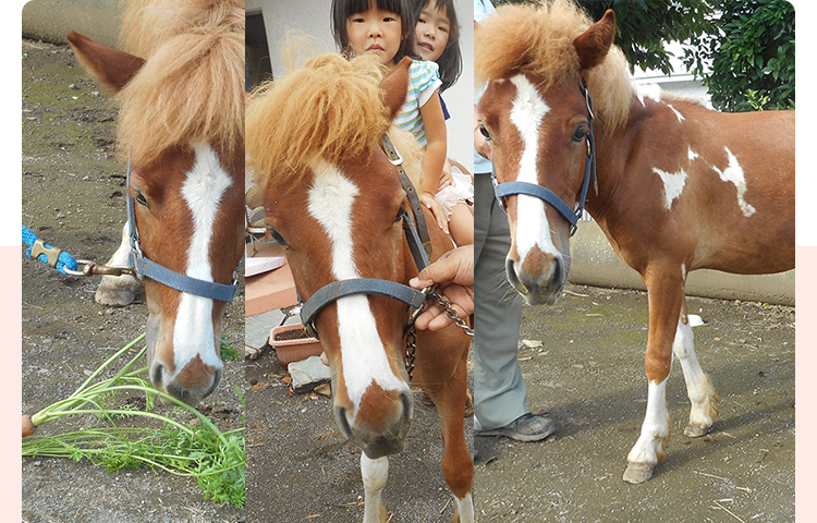 大庭城山幼稚園